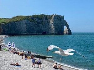 Normandy Rouen, Honfleur, Etretat Small Group from Paris