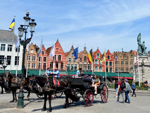 Bruges Highlights & Hidden Gems Small-group from Paris by Minivan